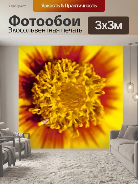 Фотообои Центр желтого цветка клеща