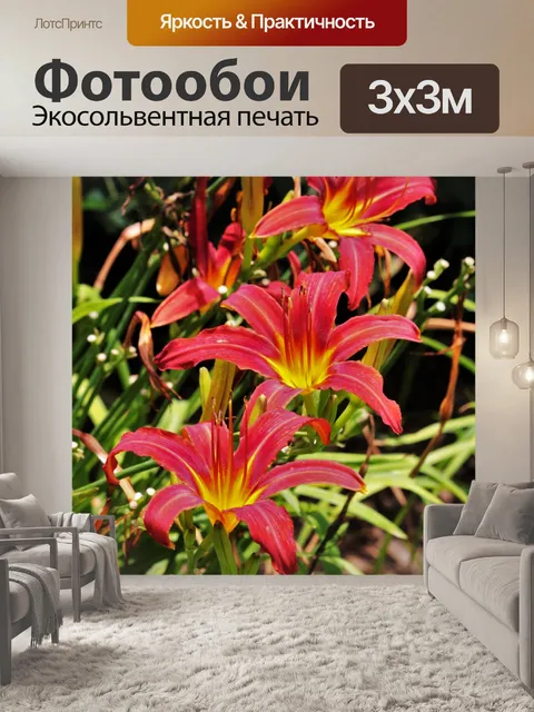 Фотообои Три красных лилии