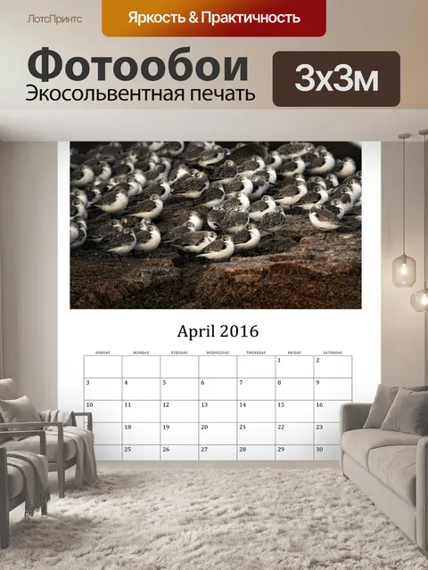 Фотообои Апрель 2016 Календарь диких птиц