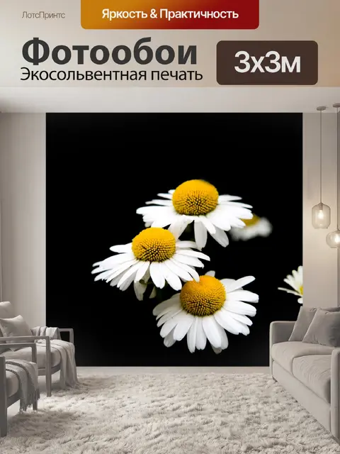 Фотообои Дейзи цветы