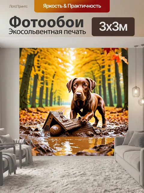 Фотообои лабрадор, играющий с грязными игрушками в осеннем лесу, шершавые листья вокруг