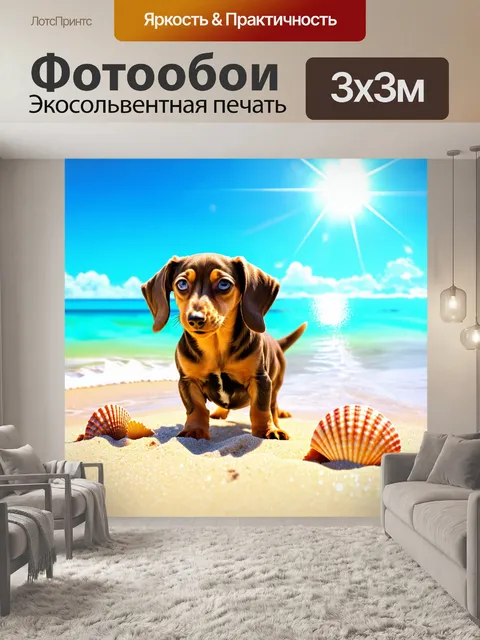 Фотообои на пляже щенок дакса-дабл играет с морскими ракушками под ярким голубым небом
