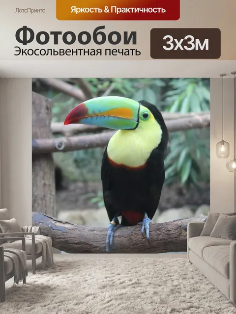 Фотообои Тукан