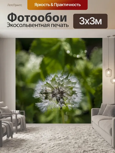 Фотообои Одуванчик
