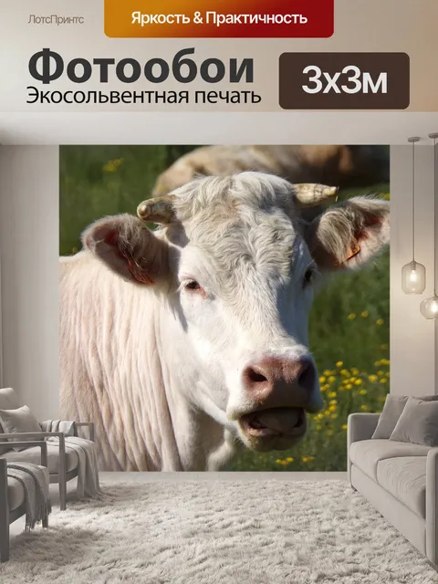 Фотообои Корова