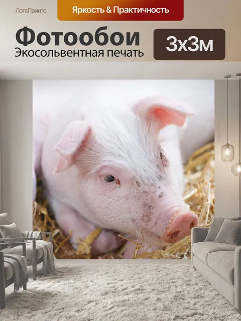 Фотообои поросенок в сарае