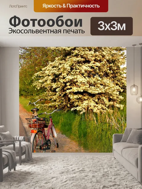 Фотообои Два велосипеды и деревья
