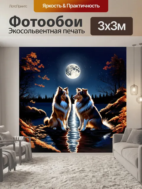 Фотообои две шелти, сидя на берегу озера, любуются отражением луны в воде, их шершавая шерсть блестит под лунным светом