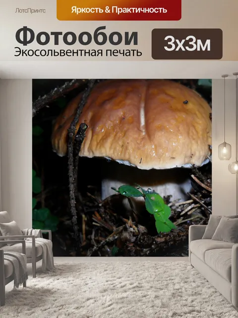 Фотообои Гриб