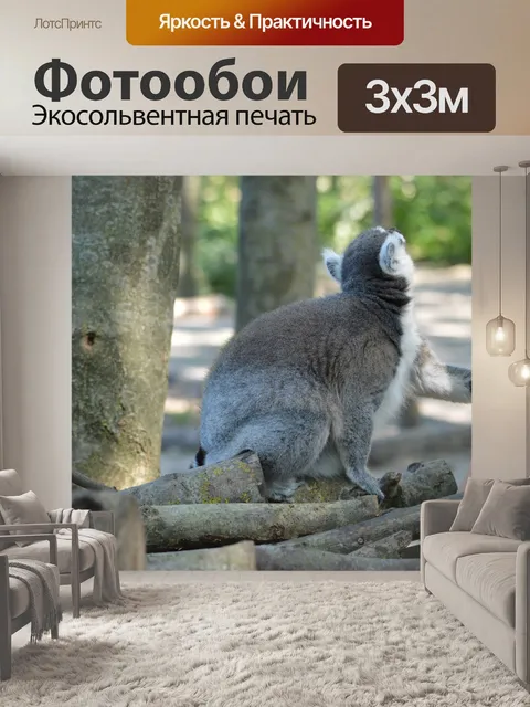 Фотообои Кошачий лемур
