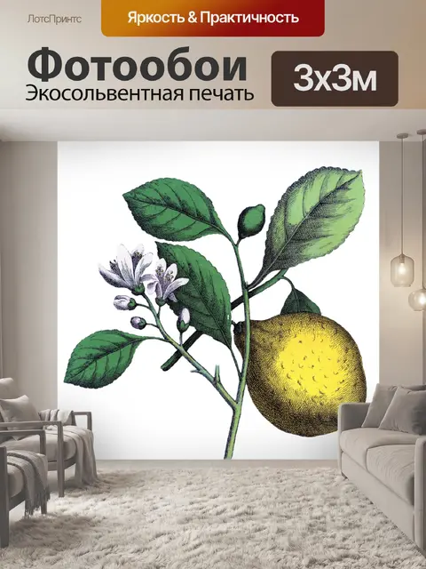 Фотообои Фрукты лимона Клипарт