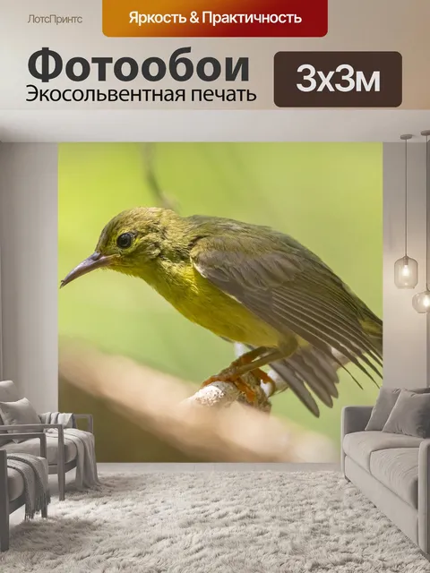 Фотообои Пятнистых