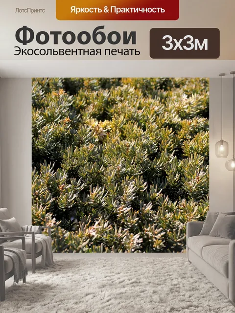 Фотообои Буш закрыть фон
