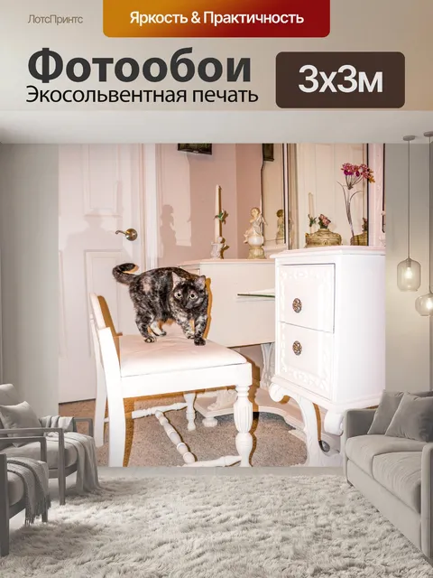 Фотообои Кошка
