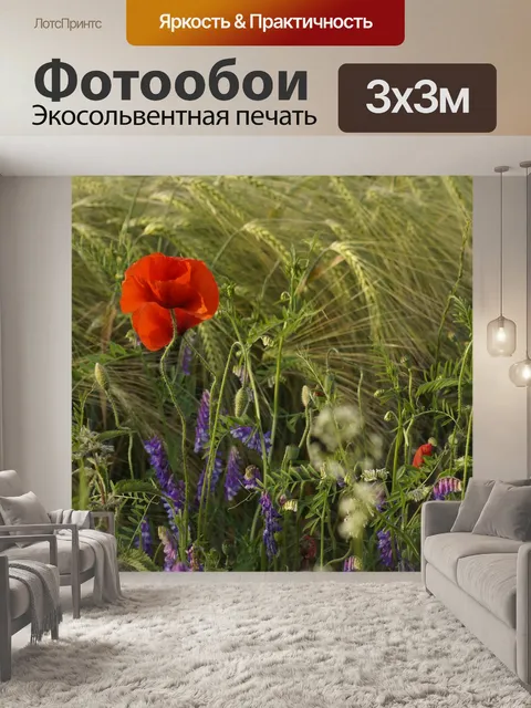 Фотообои Пчелы пастбище маки поле природа