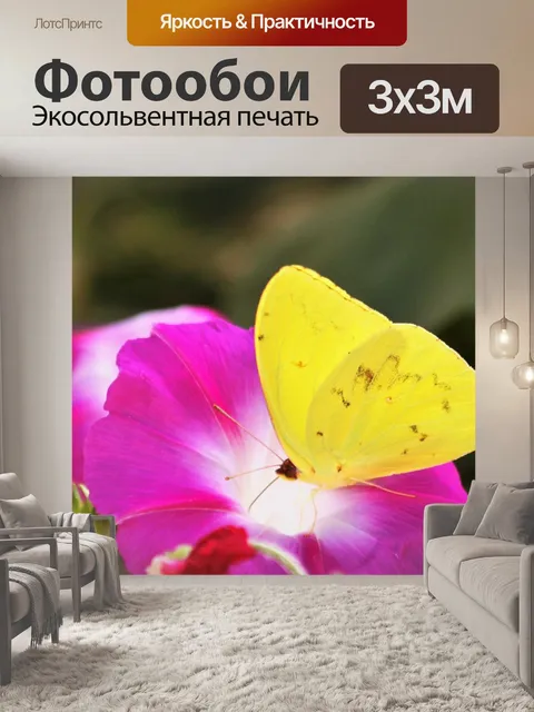 Фотообои Желтая бабочка на фиолетовом цвете
