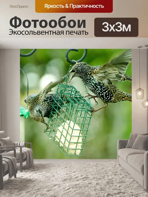 Фотообои Птицы