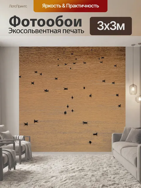 Фотообои Утки