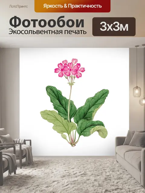 Фотообои Цветок первоцвета Винтаж клипарт