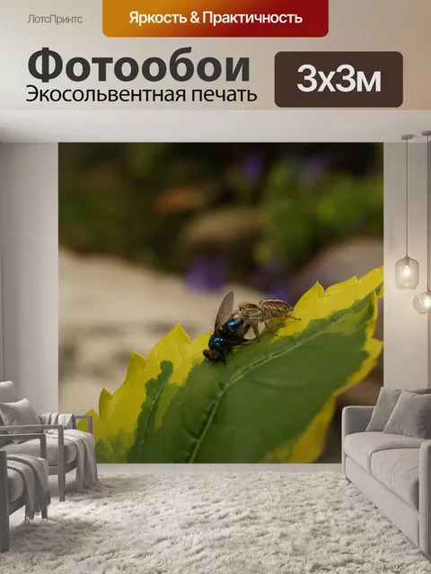 Фотообои Картинки