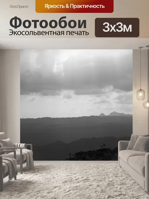 Фотообои Черно-белый Природа
