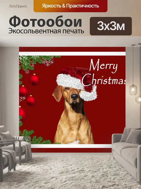 Фотообои Рождественская собака в шляпе