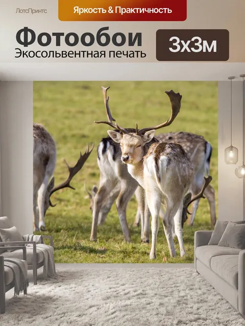 Фотообои олень