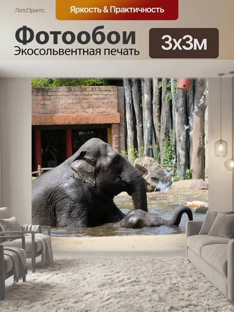 Фотообои В ванне со слонами 2,4