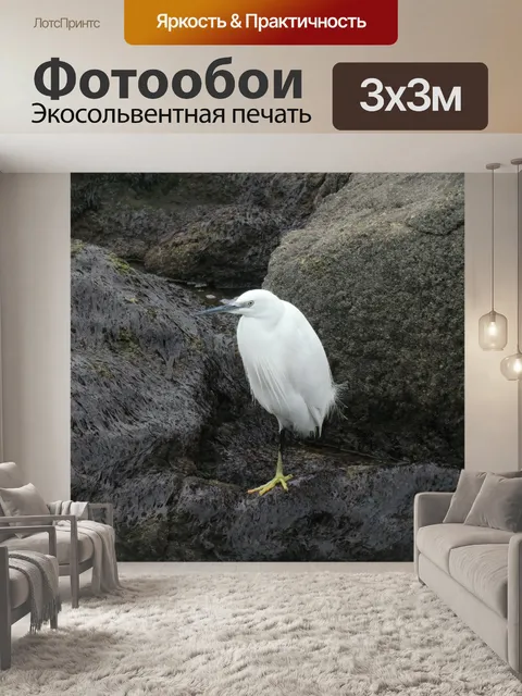 Фотообои Белая цапля