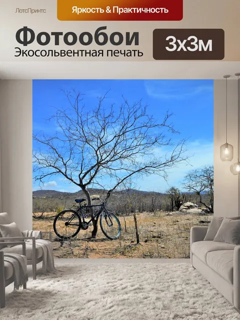 Фотообои К северо-востоку