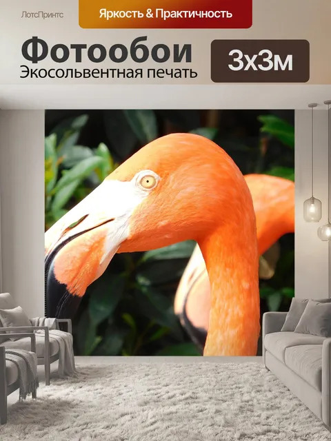 Фотообои Фламинго