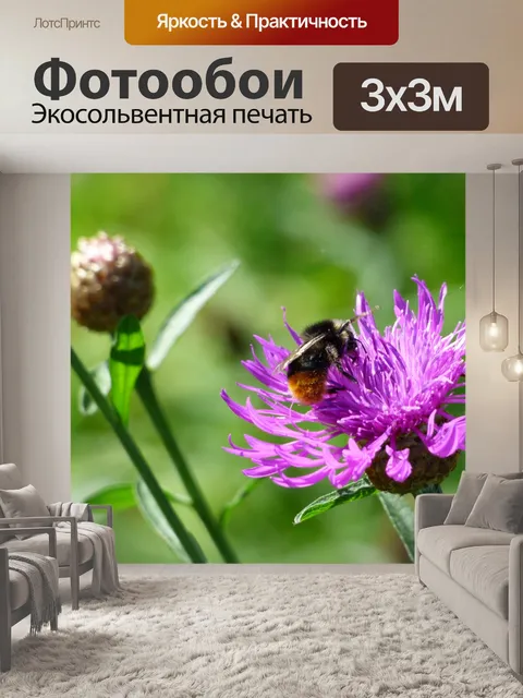 Фотообои Цветок пчелы