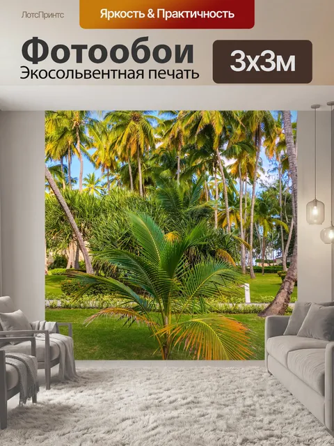 Фотообои Тропические деревья пальмы