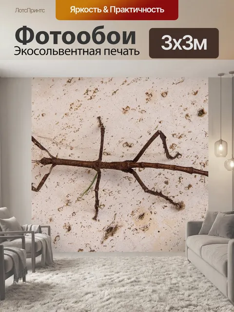 Фотообои Насекомое-палка титана