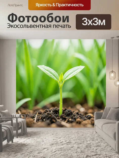 Фотообои Молодой росток с каплями росы