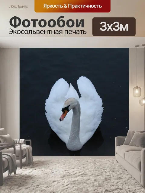 Фотообои Лебедь