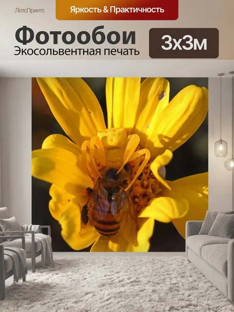 Фотообои желтый крабовый паук с пчелой
