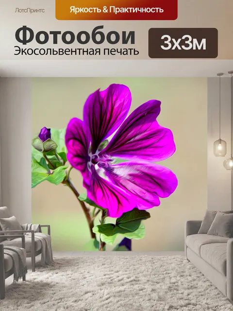 Фотообои Цветок, фиолетовый цветок