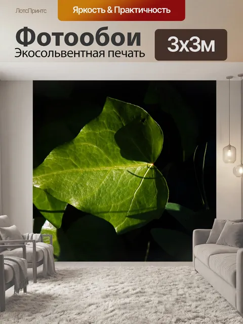 Фотообои солнечный свет на прожилках листьев зеле