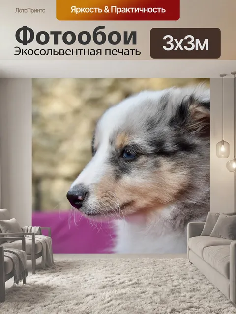 Фотообои Щенок