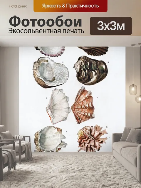 Фотообои Ракушки тропического винтажного искусств