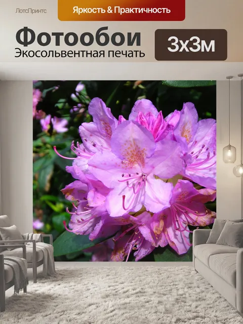 Фотообои Цветок рододендрон