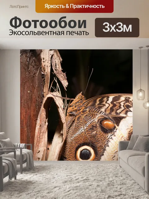 Фотообои Бабочка
