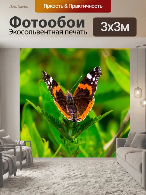 Фотообои Природа