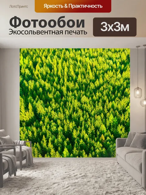 Фотообои воздушные верхушки деревьев
