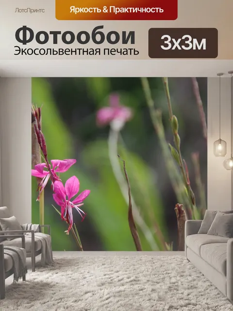 Фотообои Маленький нежный розовый цветок