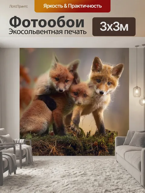 Фотообои Лиса