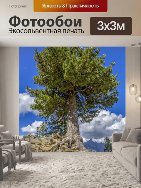 Фотообои Одно дерево