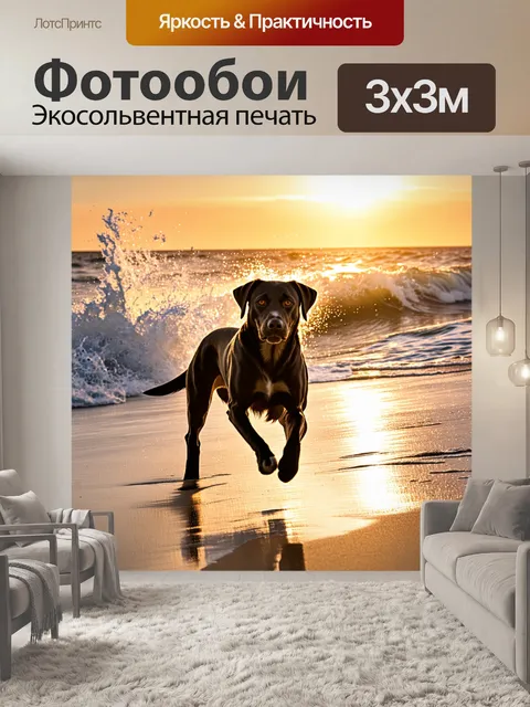 Фотообои лабрадор ретривер, бегущий по пляжу на закате, его шерсть переливается в лучах солнца