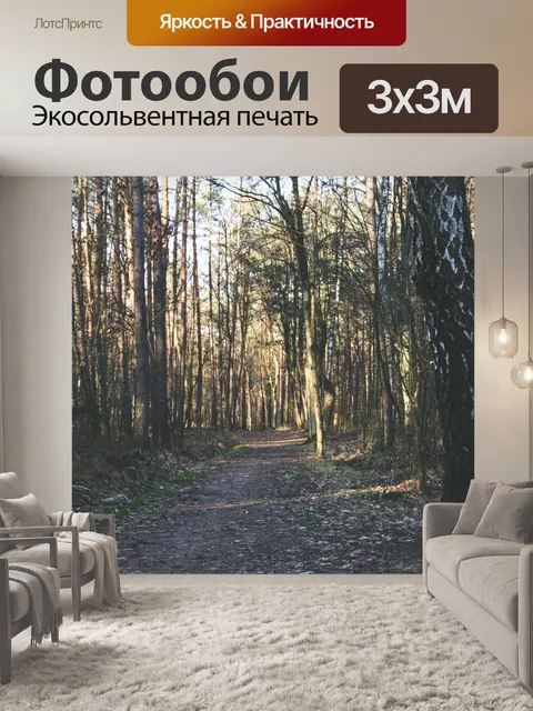Фотообои Дорога в лесу